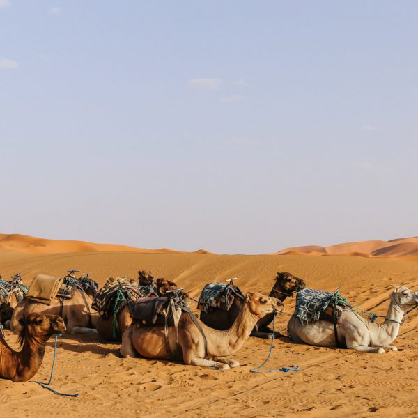 Morocco deserts photos - Shooting In Morocco