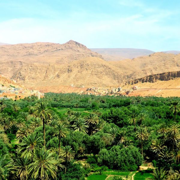 Morocco oasis photos - Shooting In Morocco